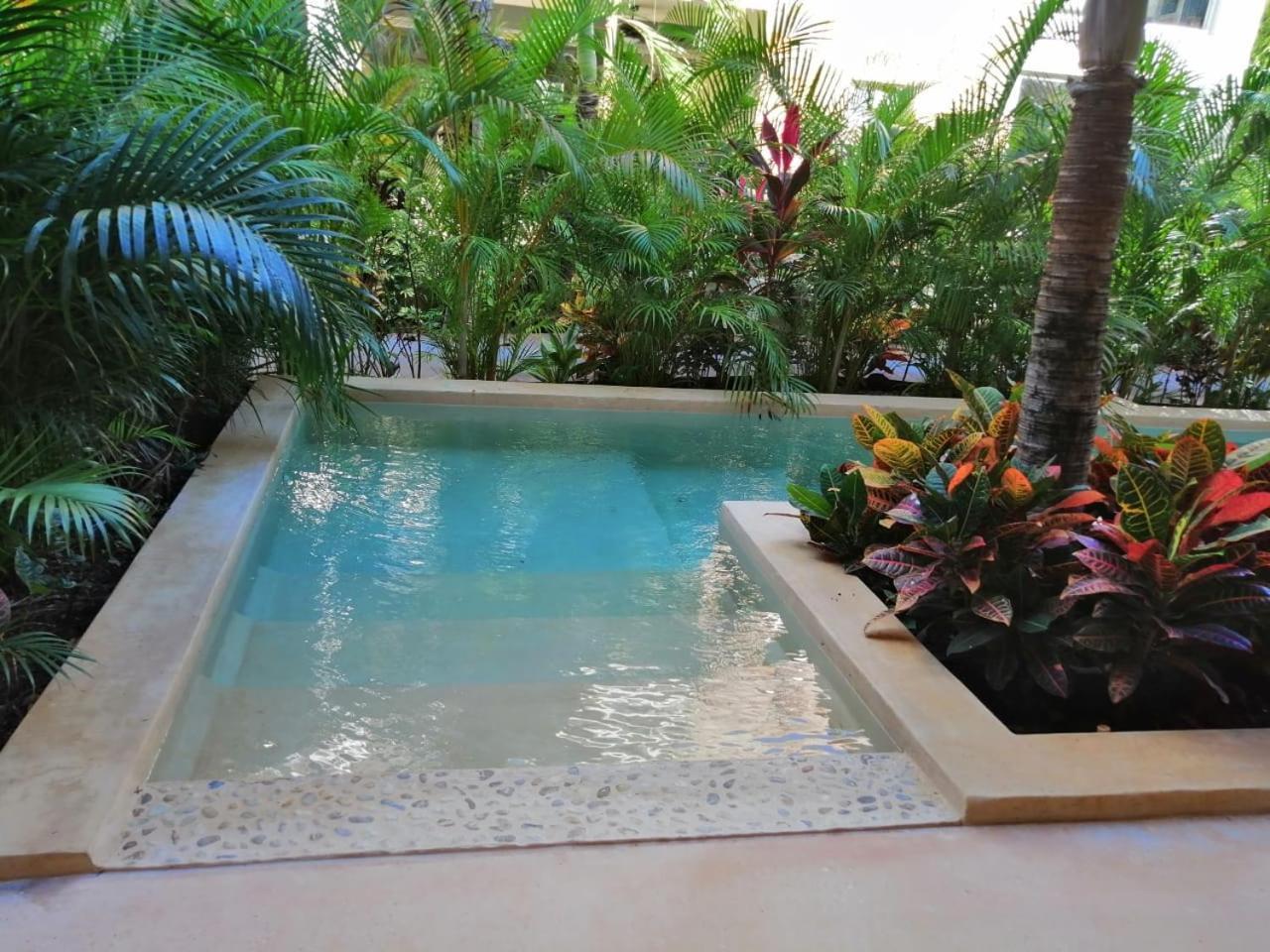 Alma De Flores Private Pools Suites Tulum Extérieur photo